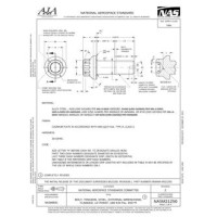 AIA NASM21250