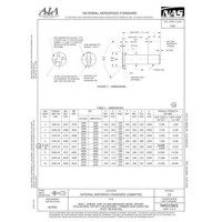 AIA NAS1581