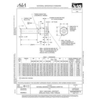 AIA NASM20073