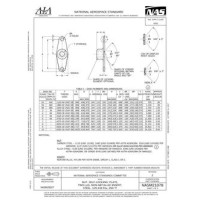 AIA NASM21078