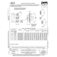 AIA NASM21077