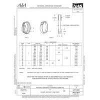 AIA NAS397