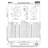 AIA NAS513