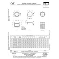 AIA NAS1839