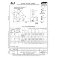 AIA NASM21073