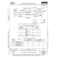 AIA NAS1383