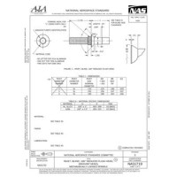 AIA NAS1719