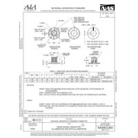 AIA NASM21383