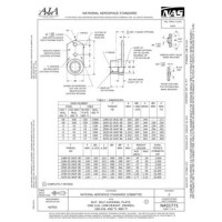 AIA NAS1771