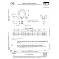 AIA NAS1251