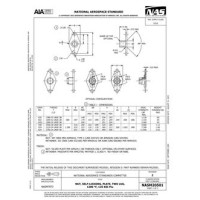 AIA NASM20501