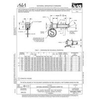 AIA NASM17985