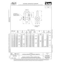 AIA NAS1042