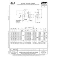 AIA NAS1043