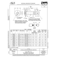 AIA NAS5317