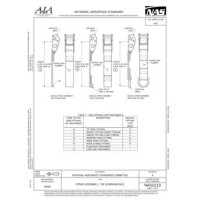 AIA NAS1213