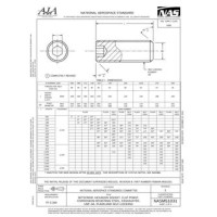 AIA NASM51031