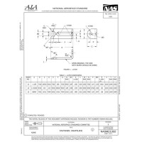 AIA NASM21332