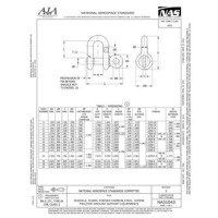 AIA NAS1043