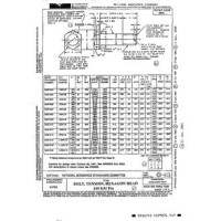 AIA NAS1303-1320