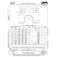 AIA NASM21314