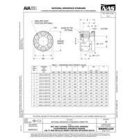 AIA NASM21224