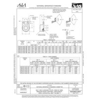 AIA NASM21087