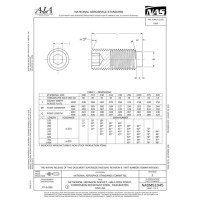 AIA NASM51045