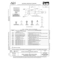 AIA NASM20604