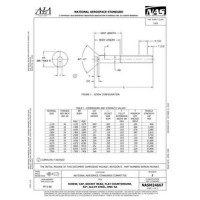 AIA NASM24667