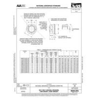 AIA NAS1291