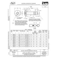 AIA NAS5317