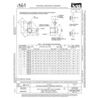 AIA NASM21081