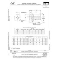 AIA NAS1301