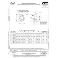 AIA NASM21225