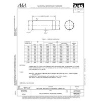 AIA NAS607