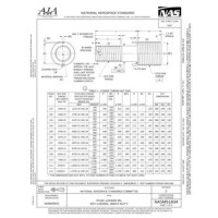 AIA NASM51834