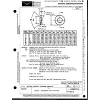 AIA NAS391