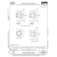 AIA NASM21045