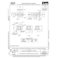 AIA NASM91524