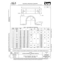 AIA NASM21314