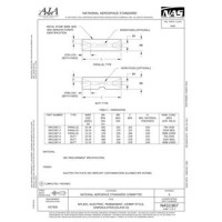 AIA NAS1387