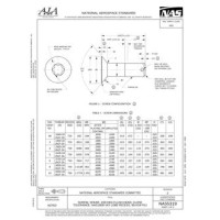 AIA NAS5319