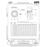 AIA NASM21224