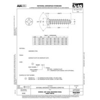 AIA NAS384