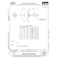 AIA NAS387