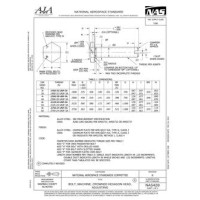 AIA NAS428