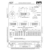 AIA NASM21207