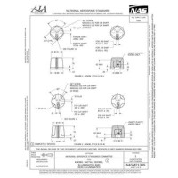 AIA NASM21385