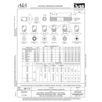 AIA NASM51021